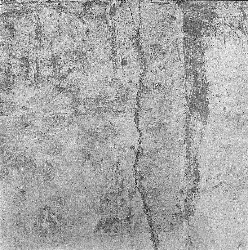 Bama photographed many walls to provide backgrounds for his paintings. Gift of Lynn and James Bama. PN.243.2M.1.20d.5.