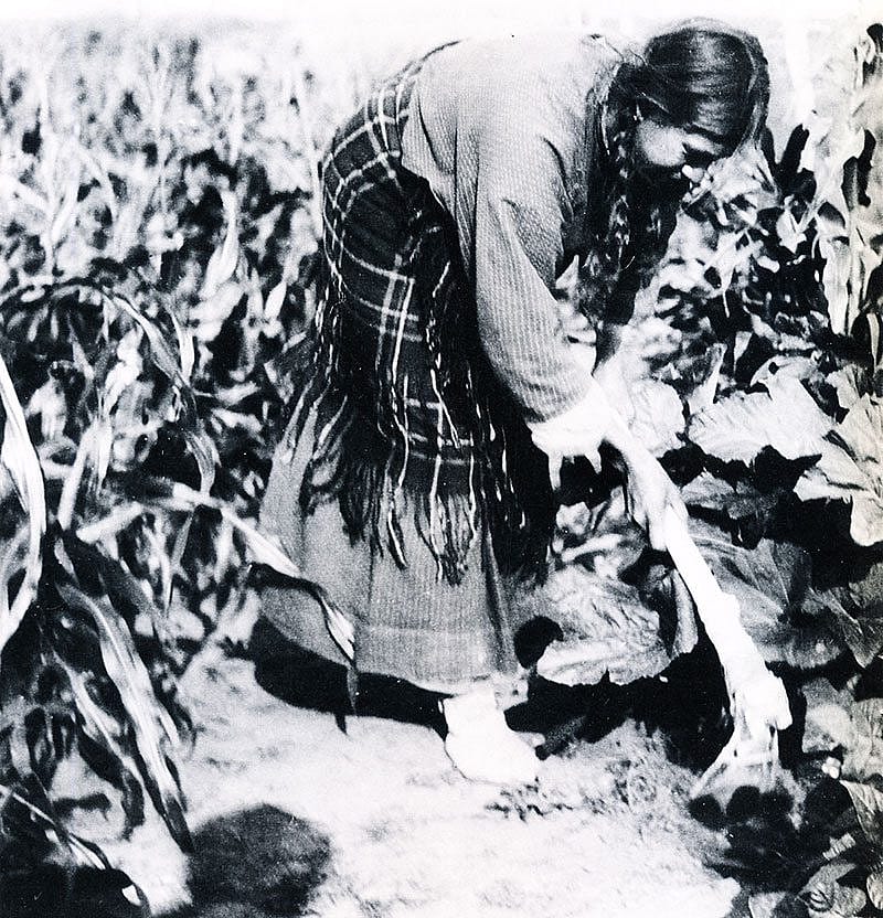 Sioux Woman, Nuxbaaga 9Hidatsa), demonstrating a bone hoe. Fort Berthold Reservation, North Dakota. Gilbert Wilson, 1912. Minnesota Historical Society.