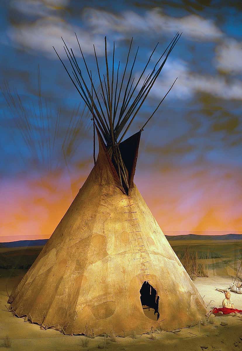 Located in the Seasons of Life Gallery of the Center's Plains Indian Museum, this Plateau-Nez Perce buffalo hide tipi, ca. 1850, is extremely rare. Tipis constructed with animal skins seldom lasted more than a few years. In this case, there are approximately 10-12 buffalo hides used; the tipi is 16.5 feet tall. Gift of Douglas L. Manship, Sr. NA.302.126