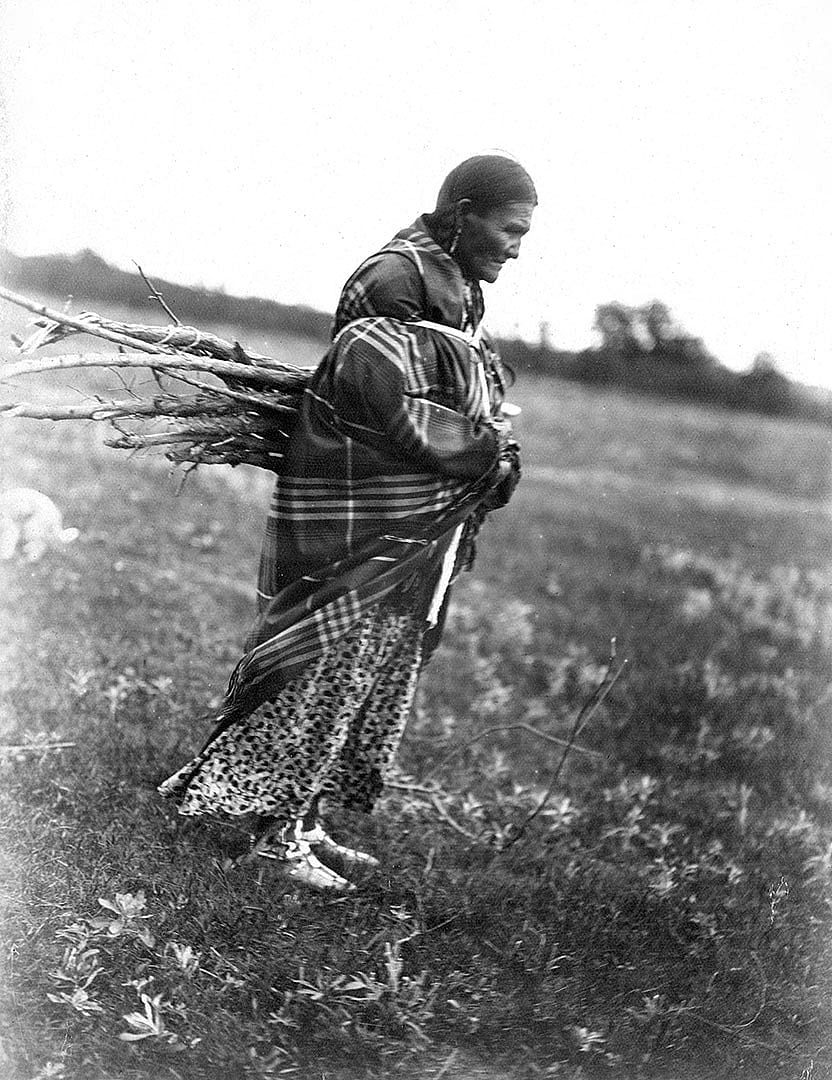 Tsistsistas (Cheyenne) woman gathering wood, 1902. MS 37 Elizabeth C. Grinnell Collection. P.37.1.13