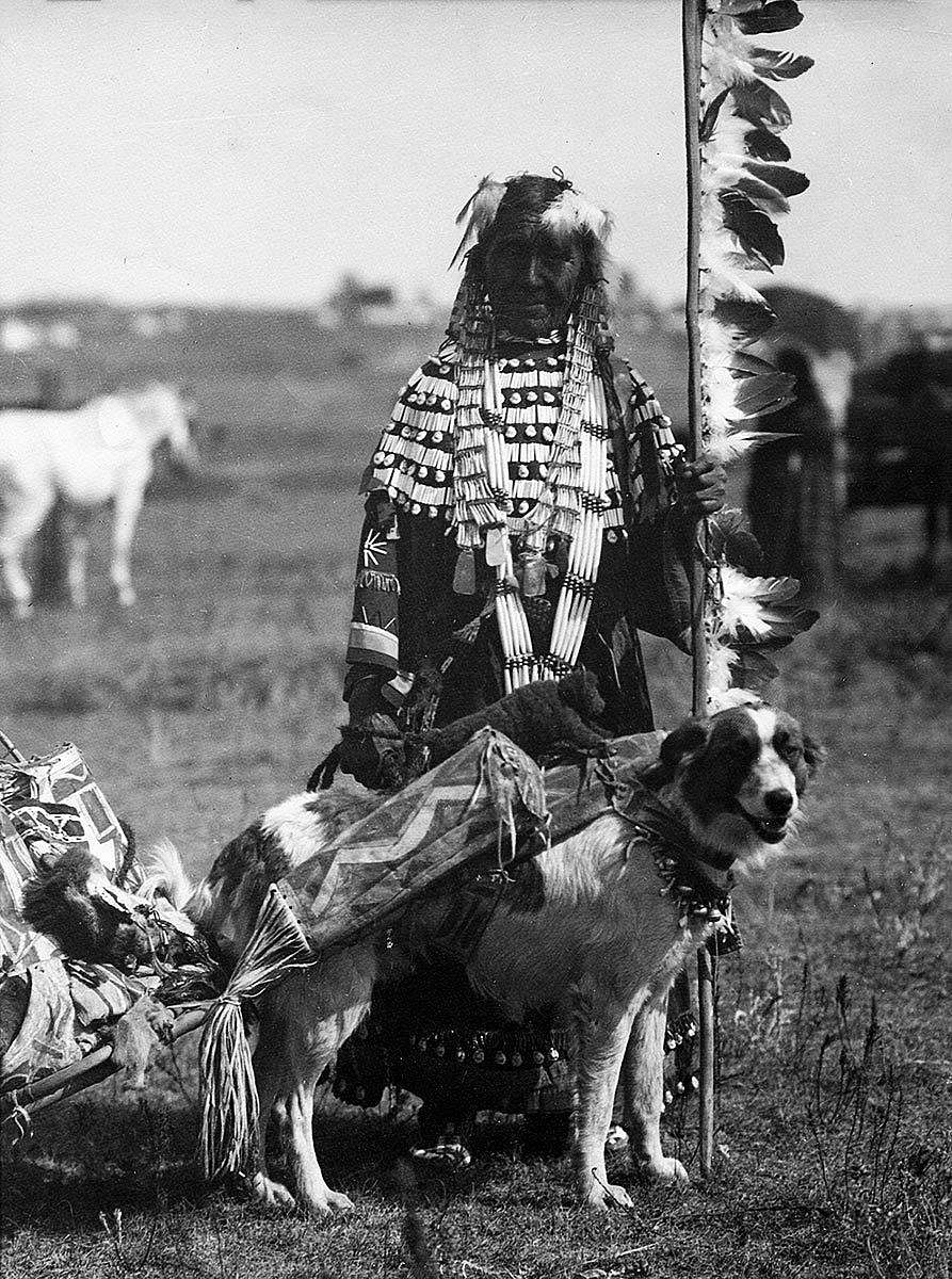 Woman holding staff and dog pulling travois, ca. 1880-1900. MS 35 North American Indian Photograph Collection. P.35.191