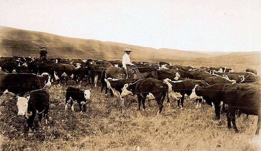 Photograph, "Roundup, 1928." W.H.D. Koerner. Gift of W.H.D. Koerner, III & Mrs. Ruth Koerner Oliver. P.78.1191