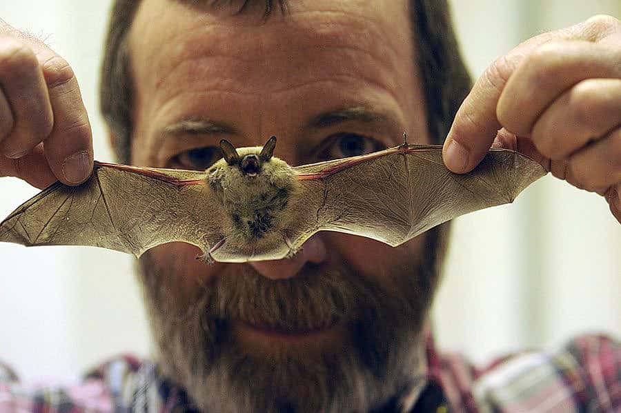 Philip McClinton and a California myotis rescued from the Center of the West in 2008.