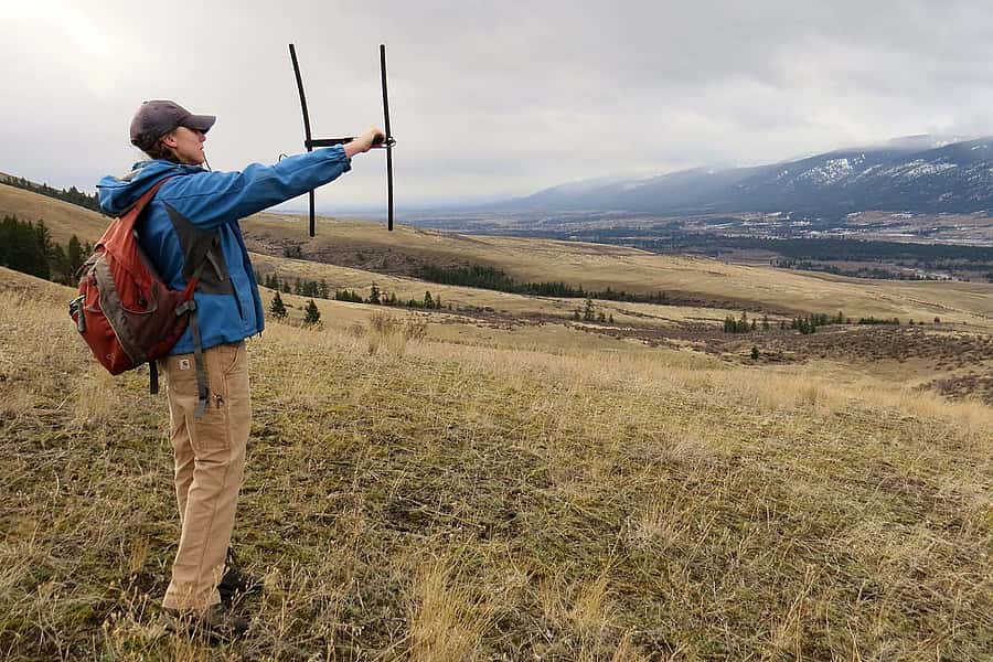 Kristin Barker using telemetry in ungulate research.