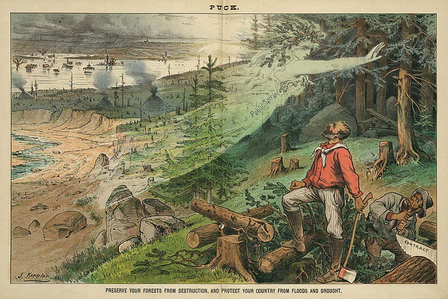 "Preserve Your Forests From Destruction And Protect Your Country From Floods And Drought," January 9, 1884. LC-DIG-ppmsca-28283