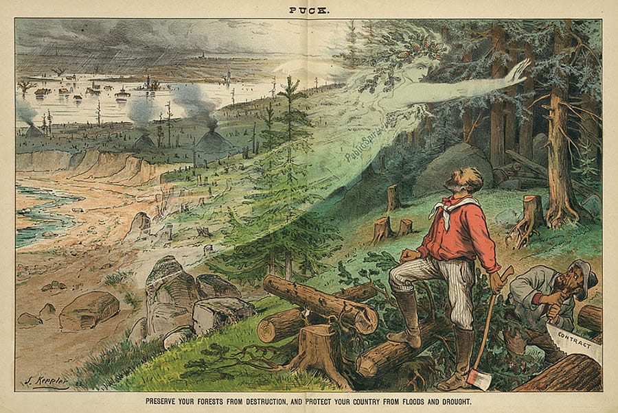 "Preserve Your Forests From Destruction And Protect Your Country From Floods And Drought," January 9, 1884. LC-DIG-ppmsca-28283