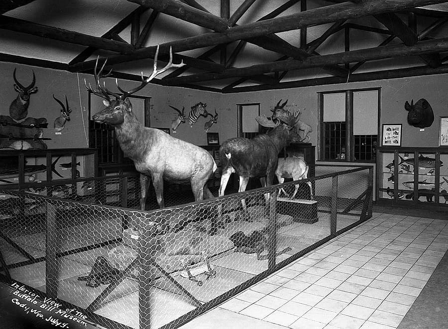 Original Buffalo Bill Museum interior view, July 4, 1927. MS 228 BBM Photographs Collection, McCracken Research Library. PN.228.162