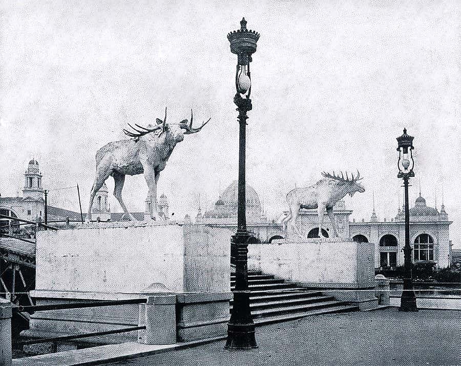 Proctor's "Moose" at the World's Columbian Exposition, Chicago, 1893. Phimister Proctor Museum Archives, Poulsbo, Washington. Reproduction photograph by Howard Giske.