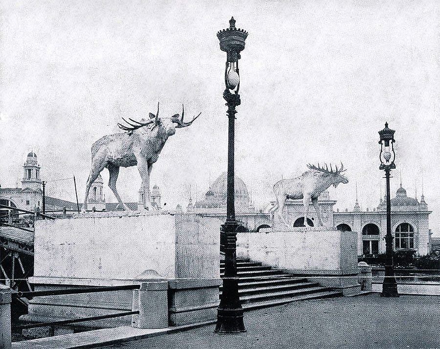 Proctor's "Moose" at the World's Columbian Exposition, Chicago, 1893. Phimister Proctor Museum Archives, Poulsbo, Washington. Reproduction photograph by Howard Giske.