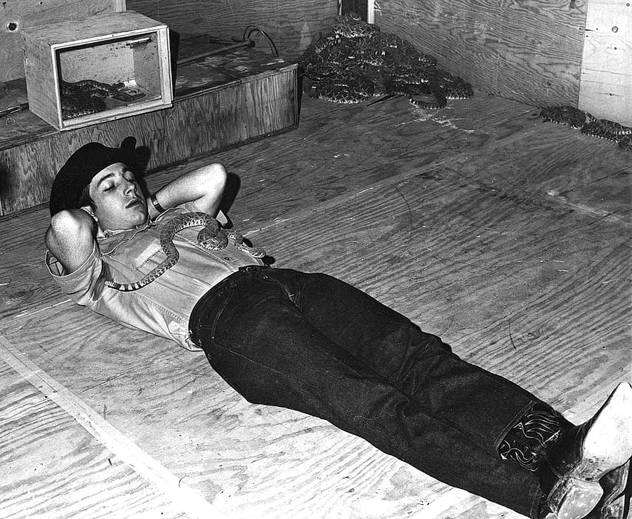 Don't Try This at Home...or Anywhere Else - A young Philip McClinton demonstrates his comfort with rattlesnakes to a public audience more than four decades ago. Although he survived presentations like this without injury, Philip now regrets his risky behavior. He cautions readers to enjoy rattlesnakes from a safe distance and respect their ability to inflict serious injury when threatened.