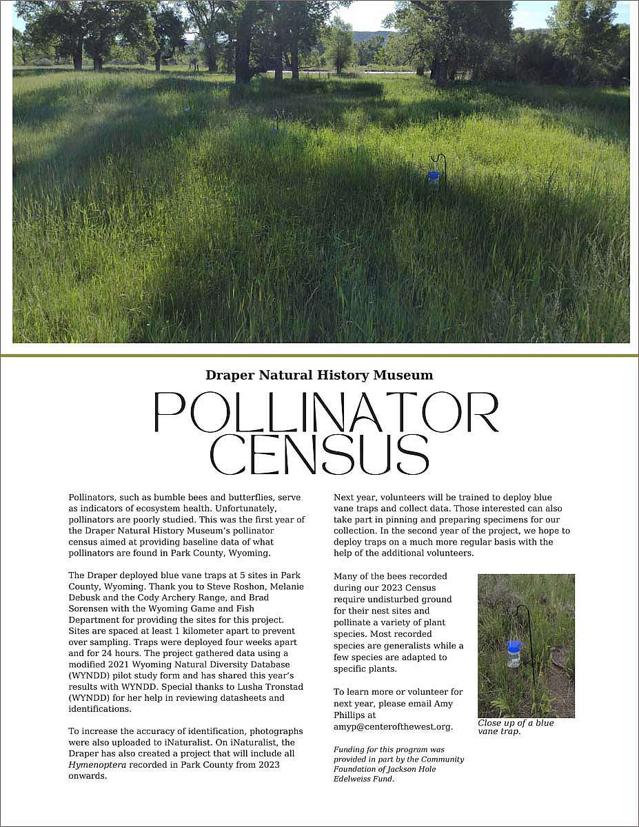 Pollinator Census Report, 2023