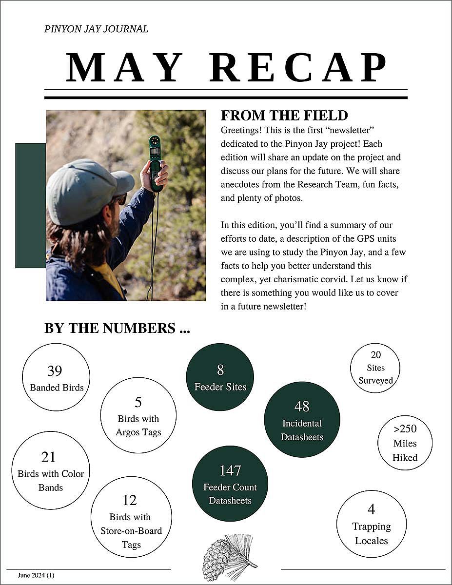 Pinyon Jay Journal, cover image