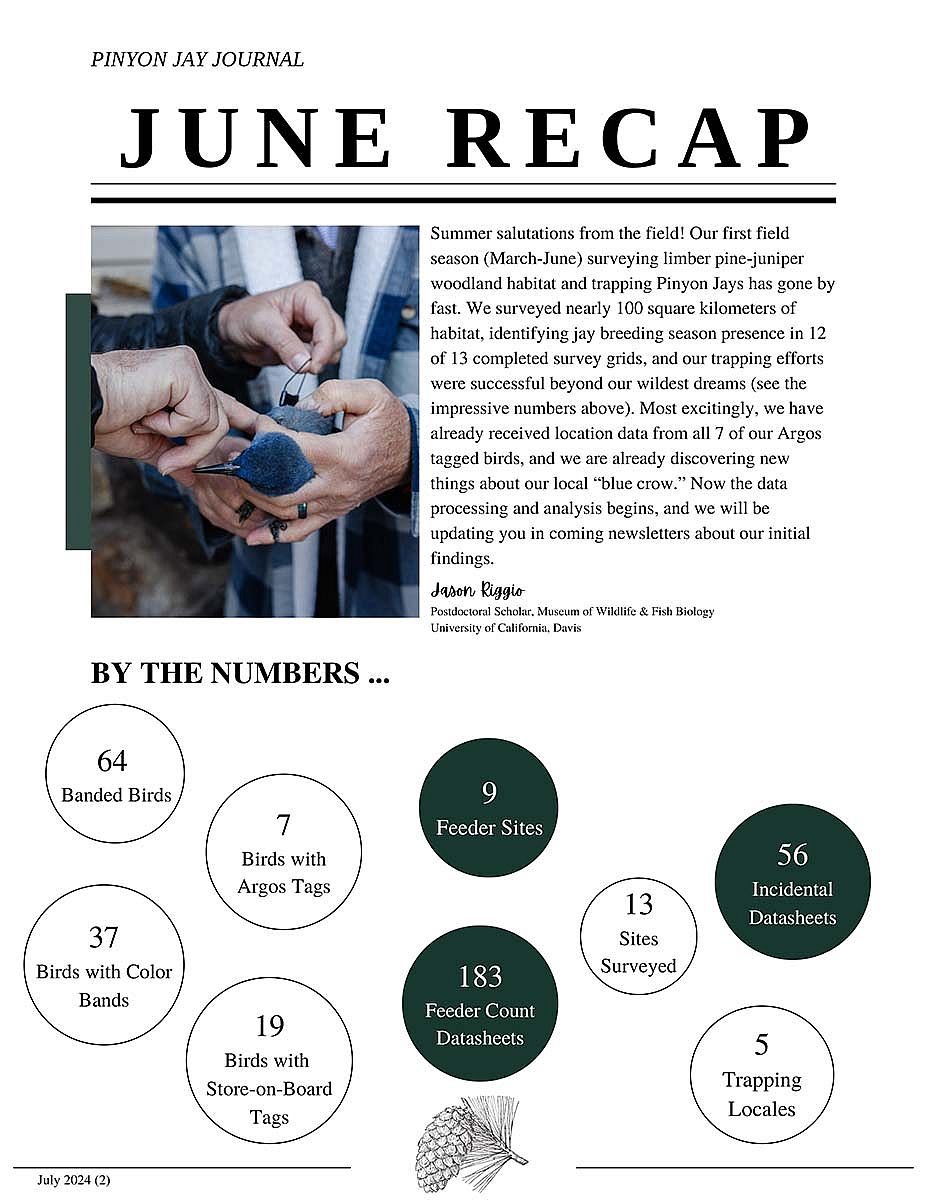 Pinyon Jay Journal, July 2024, cover image