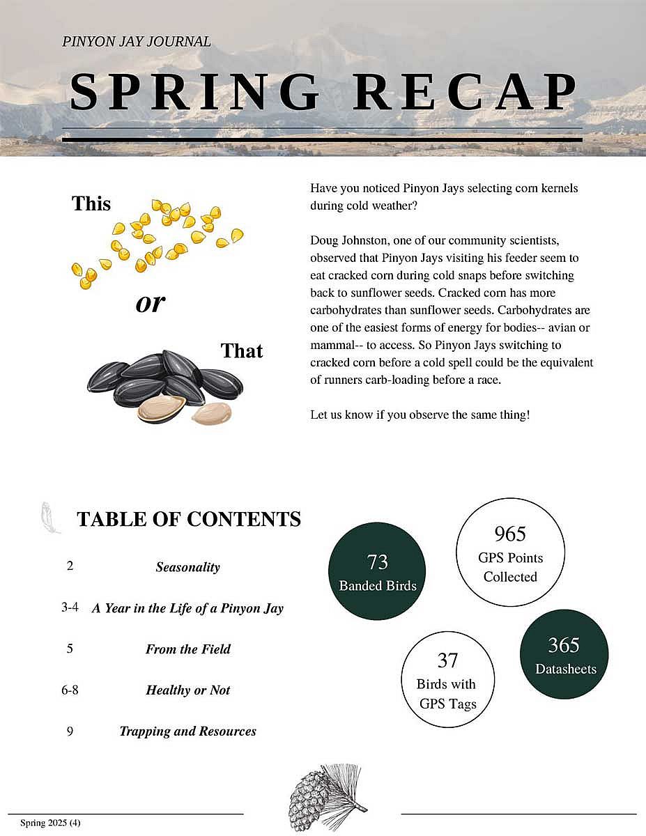 Pinyon Jay Journal, Spring 2025, cover image