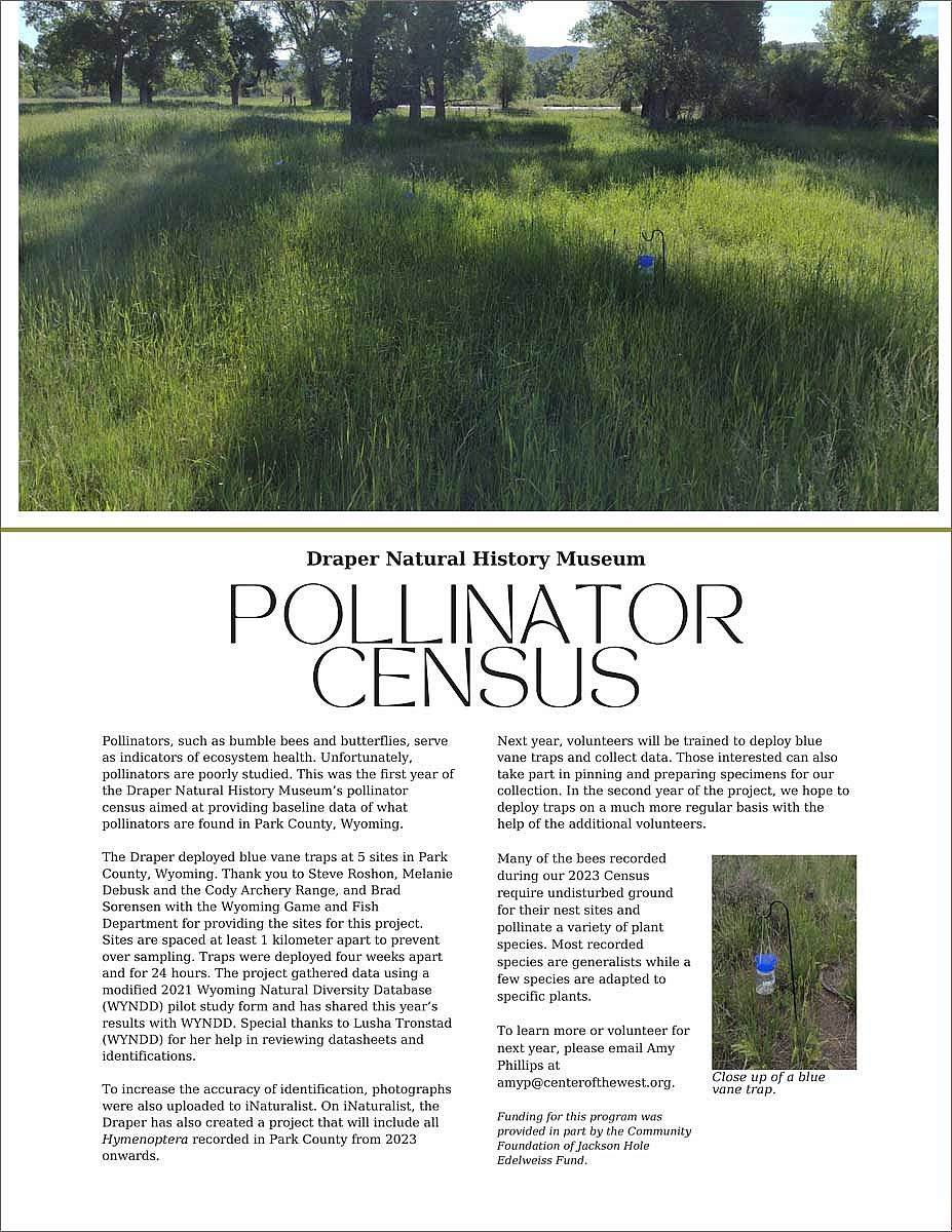 Pollinator Census Report, 2023