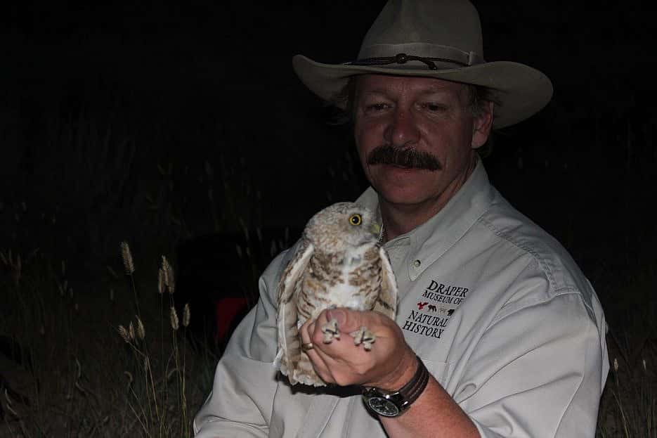 Dr. Preston with a burrowing owl