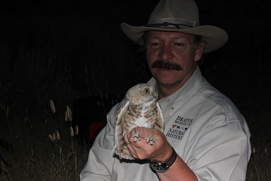 Dr. Preston with a burrowing owl
