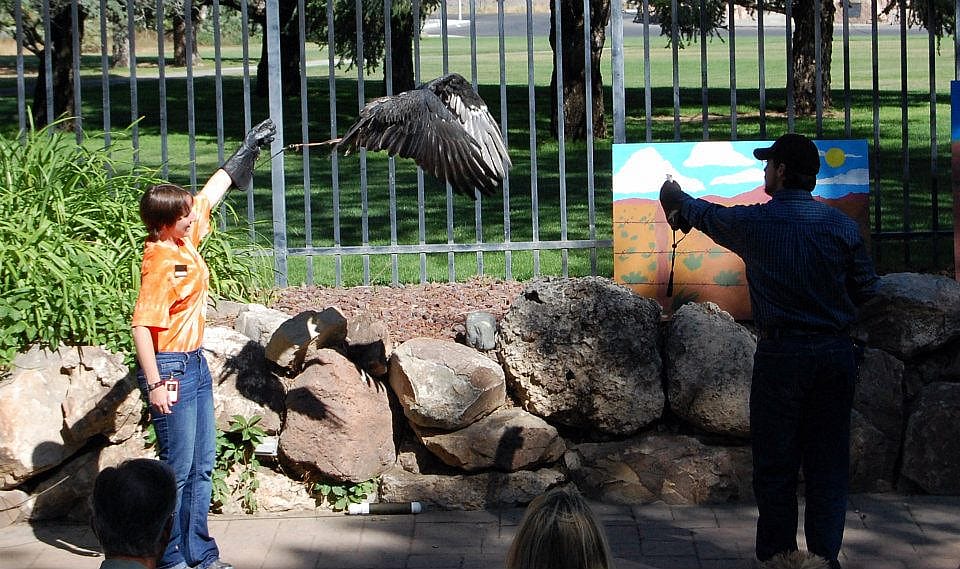 Will she land on Brandon's glove? Tune in next week!