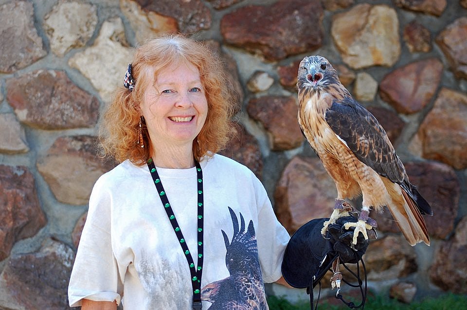 Annie and Isham, the red-tailed hawk, at the Buffalo Bill Historical Center