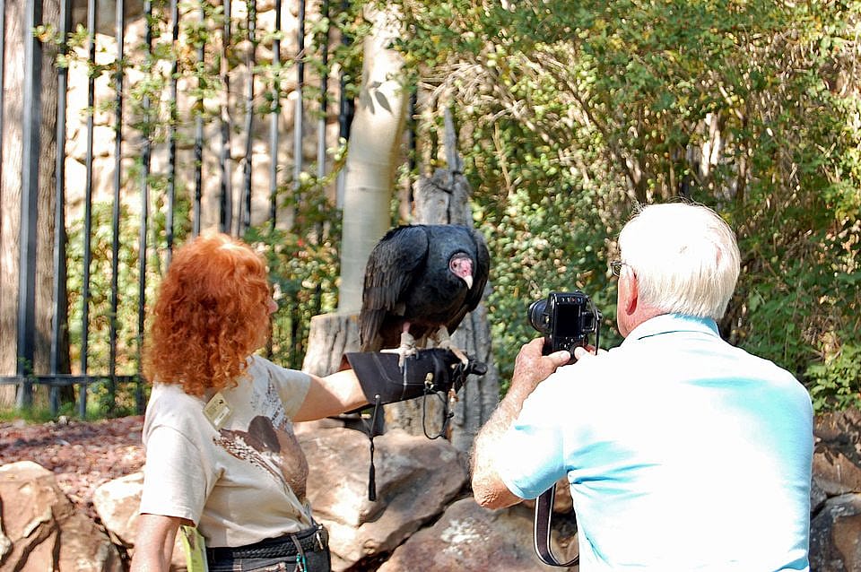 A guest taking a close-up photo of Suli during a summer program. 