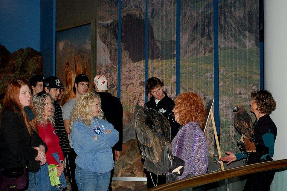 Showing off our birds during the winter of 2011. Rose with Isham, and me with Suli. 