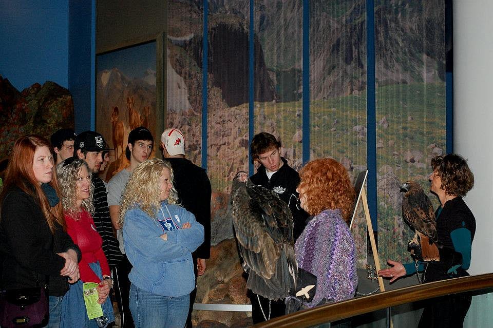 Showing off our birds during the winter of 2011. Rose with Isham, and me with Suli. 