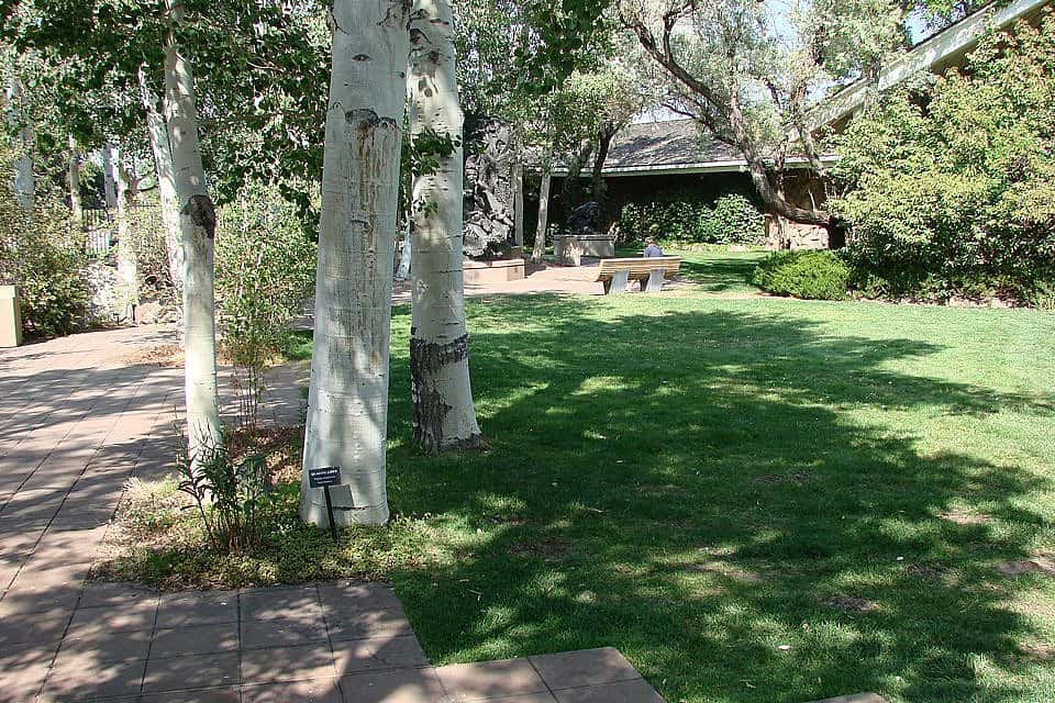 One of our lovely gardens at the Greater Yellowstone Raptor Experience. These trees will only partially hide wheels.