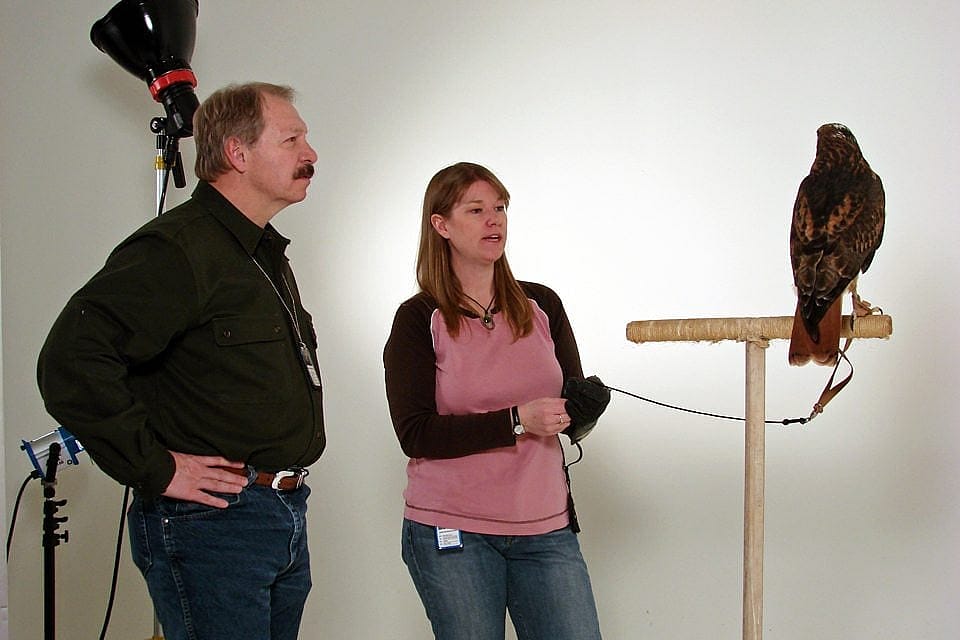 Dr. Charles Preston, Melissa Hill, and Isham, the Red-tailed Hawk, at the Buffalo Bill Center of the West's Greater Yellowstone Raptor Experience