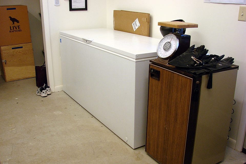 The freezer and refrigerator at the Raptor Experience. Notice the scale to weigh the birds located on top of the refrigerator.