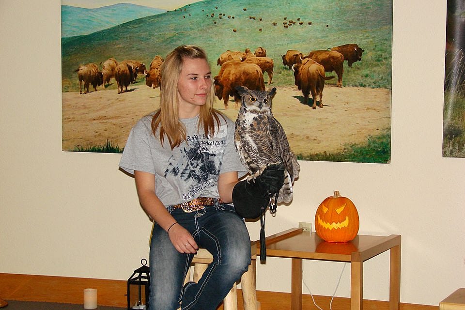 Teasdale, Jess, and the not so scary jack-o-lantern at the Buffalo Bill Center of the West's Greater Yellowstone Raptor Experience