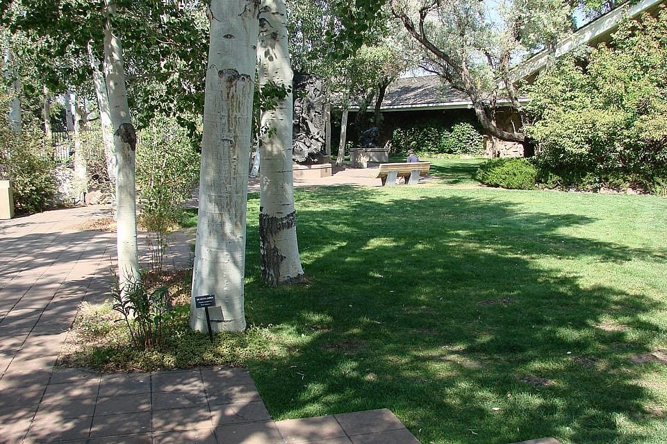 One of our lovely gardens at the Greater Yellowstone Raptor Experience. These trees will only partially hide wheels.