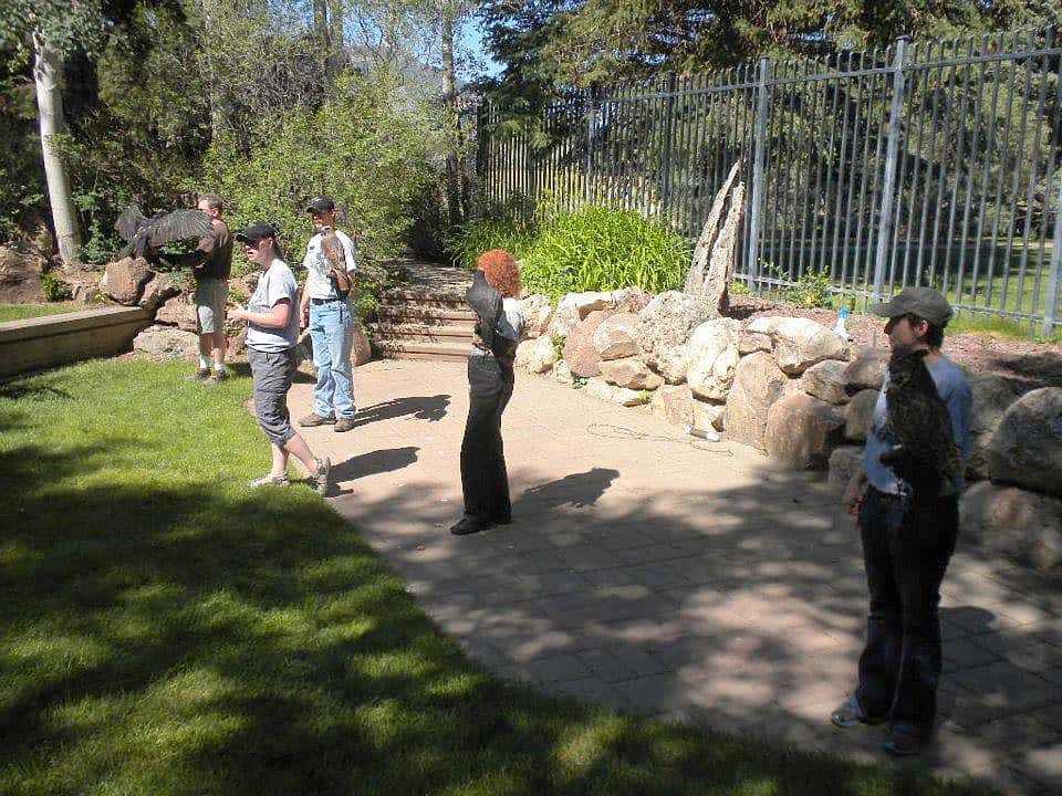 Volunteer Patrick, Intern Brandon, Me, and Intern Sarah, with Melissa standing in front, presenting a program. Melissa had to train all of us and the birds, too.