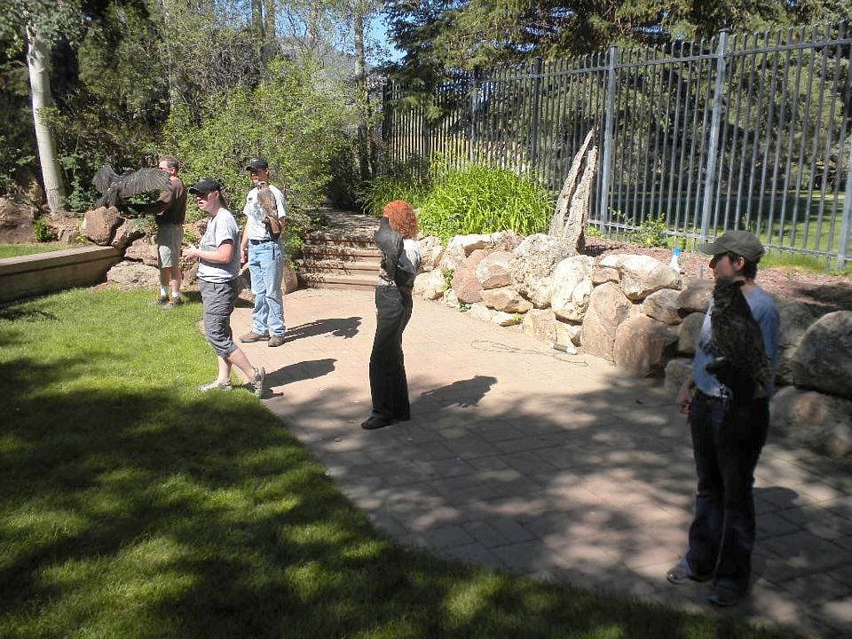 Volunteer Patrick, Intern Brandon, Me, and Intern Sarah, with Melissa standing in front, presenting a program. Melissa had to train all of us and the birds, too.