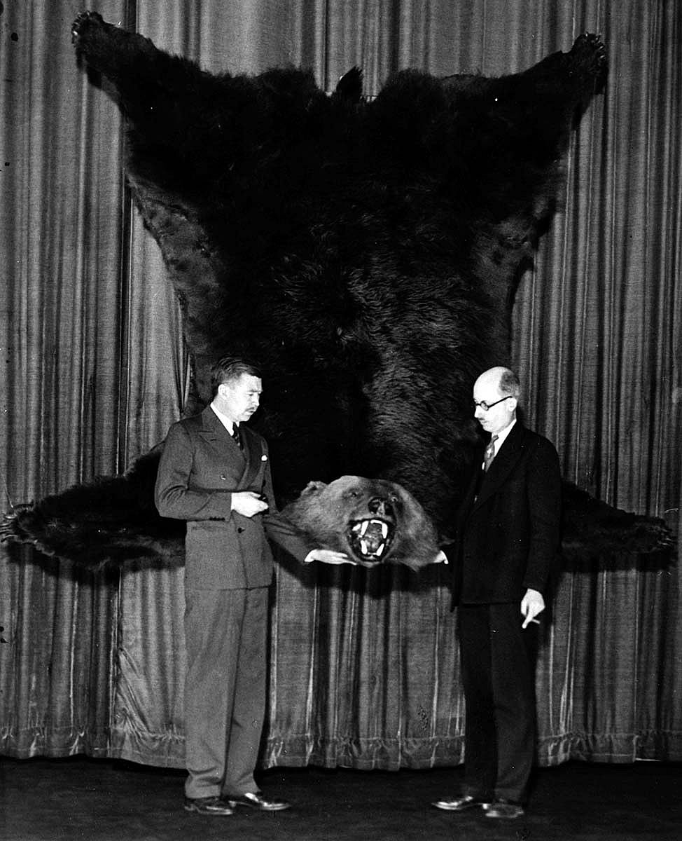 McCracken with the "big bear" on the stage of the Criterion Theatre, New York, December 1931-January 1932. MS 305 Harold McCracken Photograph Collection, McCracken Research Library. N384#noneV