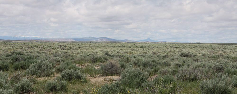 Big Horn Basin site, mid-May 2011