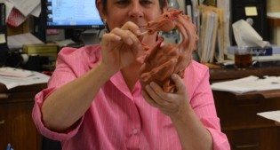 Beverly Perkins in the Conservation Lab.