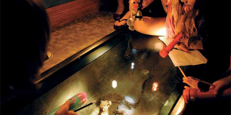 Girl Scouts on a sleepover discover a black-footed ferret in the Draper