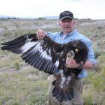 Greater Yellowstone Ecosystem Fieldnotes