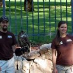 Draper Museum Raptor Experience Blog
