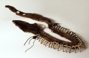 Bear Claw Necklace, Chahiksichahiks (Pawnee), ca. 1830. The Paul Dyck Plains Indian Buffalo Culture Collection, Buffalo Bill Center of the West. NA.203.1413