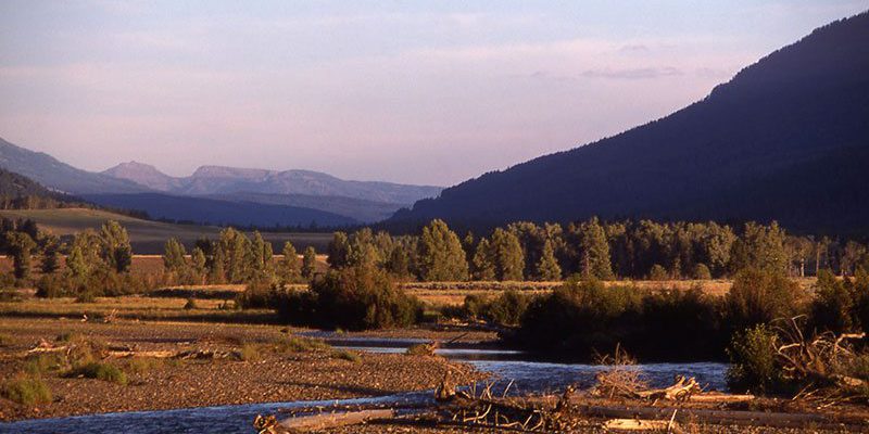 Lamar Valley in Yellowstone National Park. NPS photo.