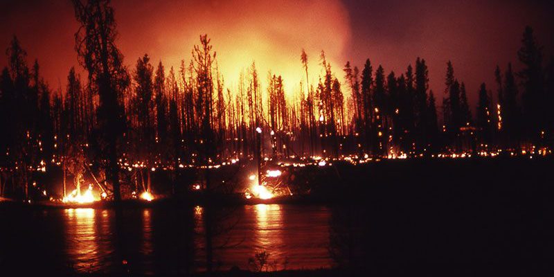 Ground fire at the Madison River during the Yellowstone fire in 1988. NPS photo.