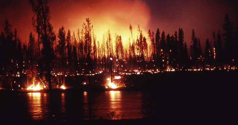 Ground fire at the Madison River during the Yellowstone fire in 1988. NPS photo.