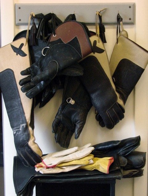 Work room wall showing a variety of gloves we use.