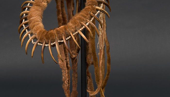 A Treasure from Our West: Bear claw necklace. Paul Dyck Plains Indian Buffalo Culture Collection. NA.203.1585