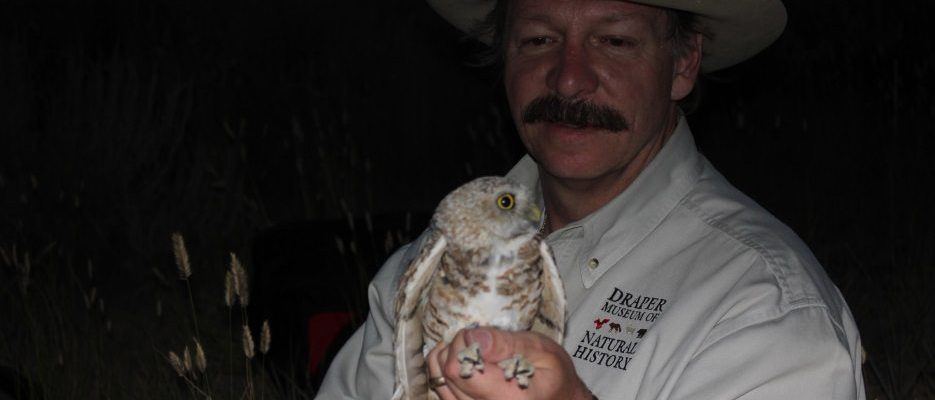Dr. Preston with a burrowing owl