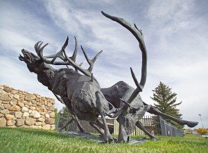 T.D. Kelsey (b. 1946), "Royal Challenge," 1991, cast 1/7. Bronze, 60 x 60 x 120 inches. Sidni A. Kelsey Collection donated by her loving husband. 14.12.8