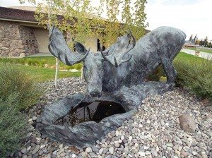 T.D. Kelsey (b. 1946), "Swamp Donkey," 1996, cast 1/7. Bronze, 57 x 119 x 48 inches. Sidni A. Kelsey Collection donated by her loving husband. 14.12.7.