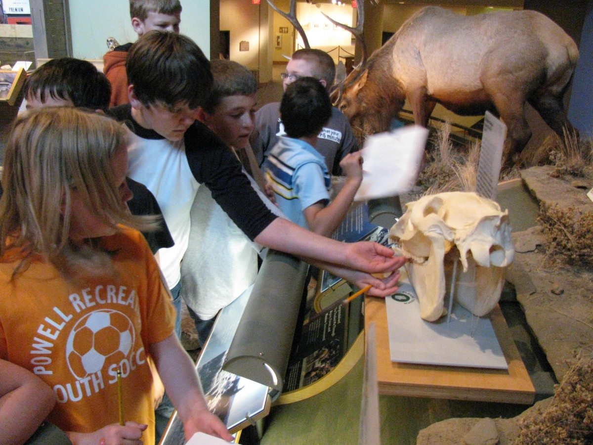 Free Field Trips for Park County Students - Self Exploration