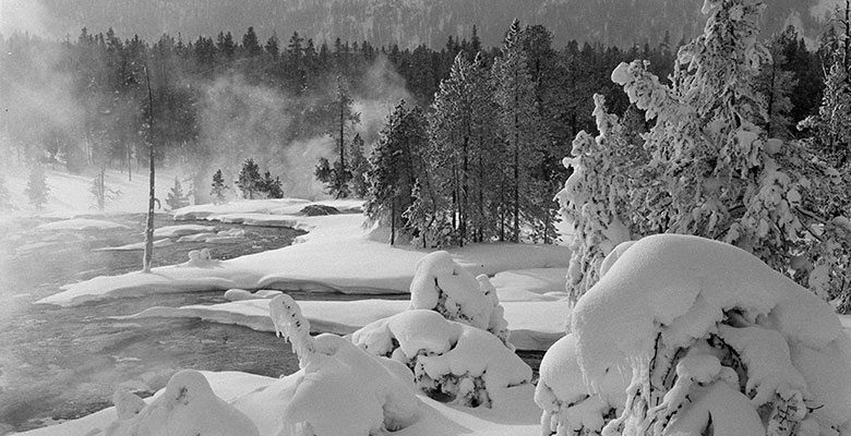 A Treasure from Our West: a photograph of winter in Yellowstone National Park